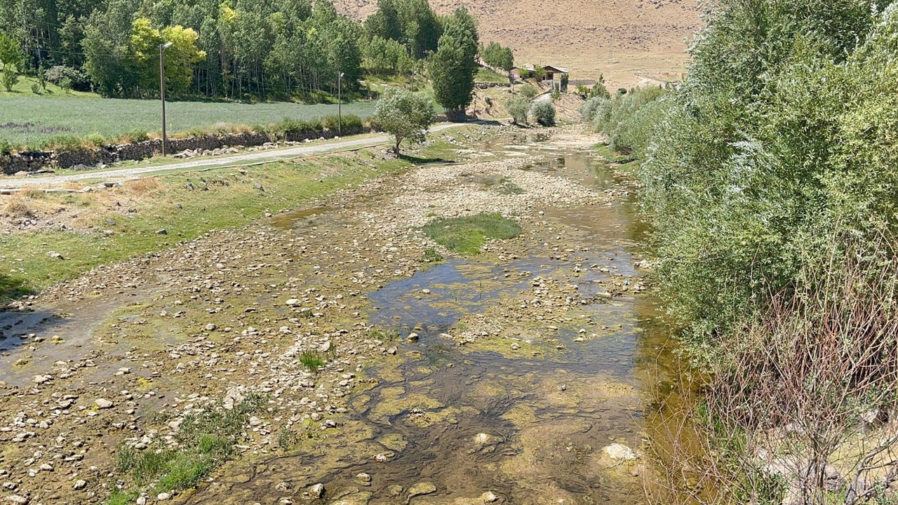 Su seviyesi düştü, yaşam durdu! Bir balık türü yok olma tehlikesiyle karşı karşıya