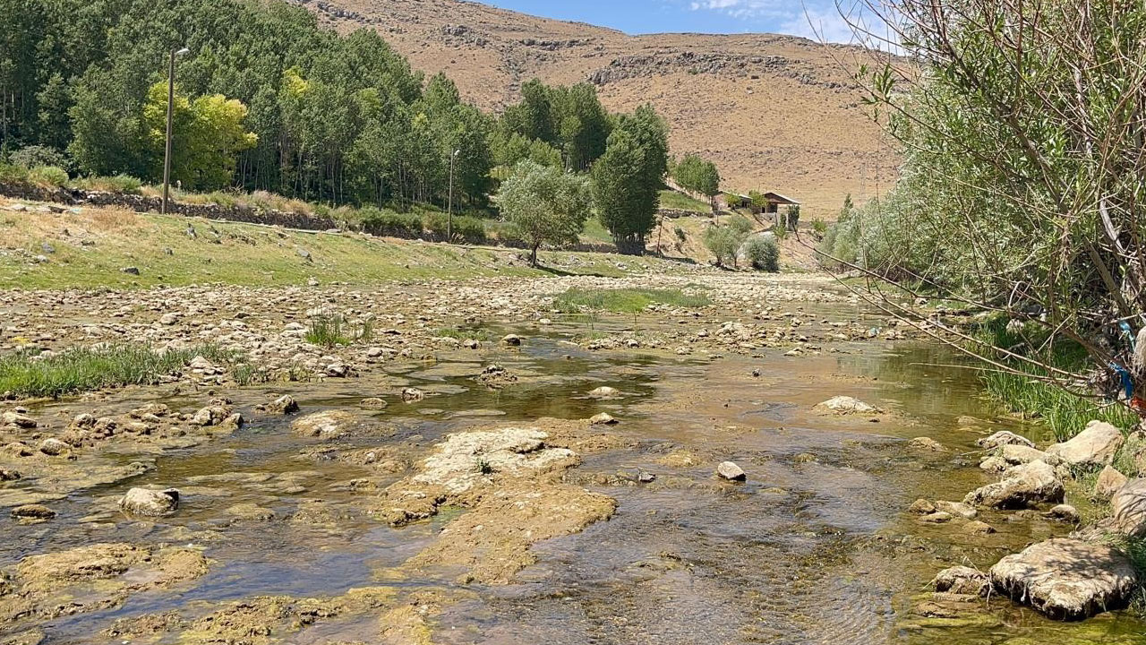 Foto - Su seviyesi düştü, yaşam durdu! Bir balık türü yok olma tehlikesiyle karşı karşıya