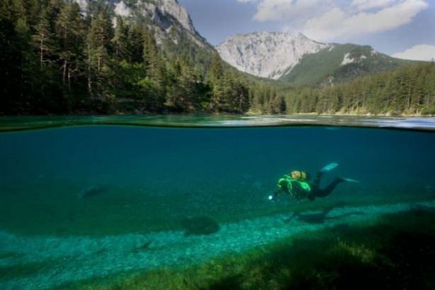 Foto - Sualtı dünyasından ilginç kareler