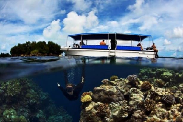 Foto - Sualtı dünyasından ilginç kareler