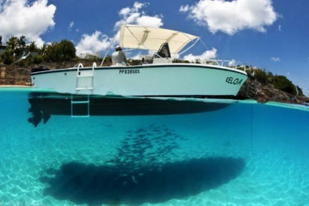 Foto - Sualtı dünyasından ilginç kareler