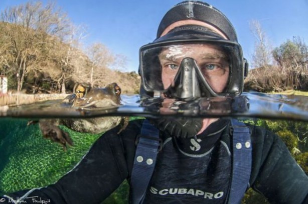 Foto - Sualtı dünyasından ilginç kareler