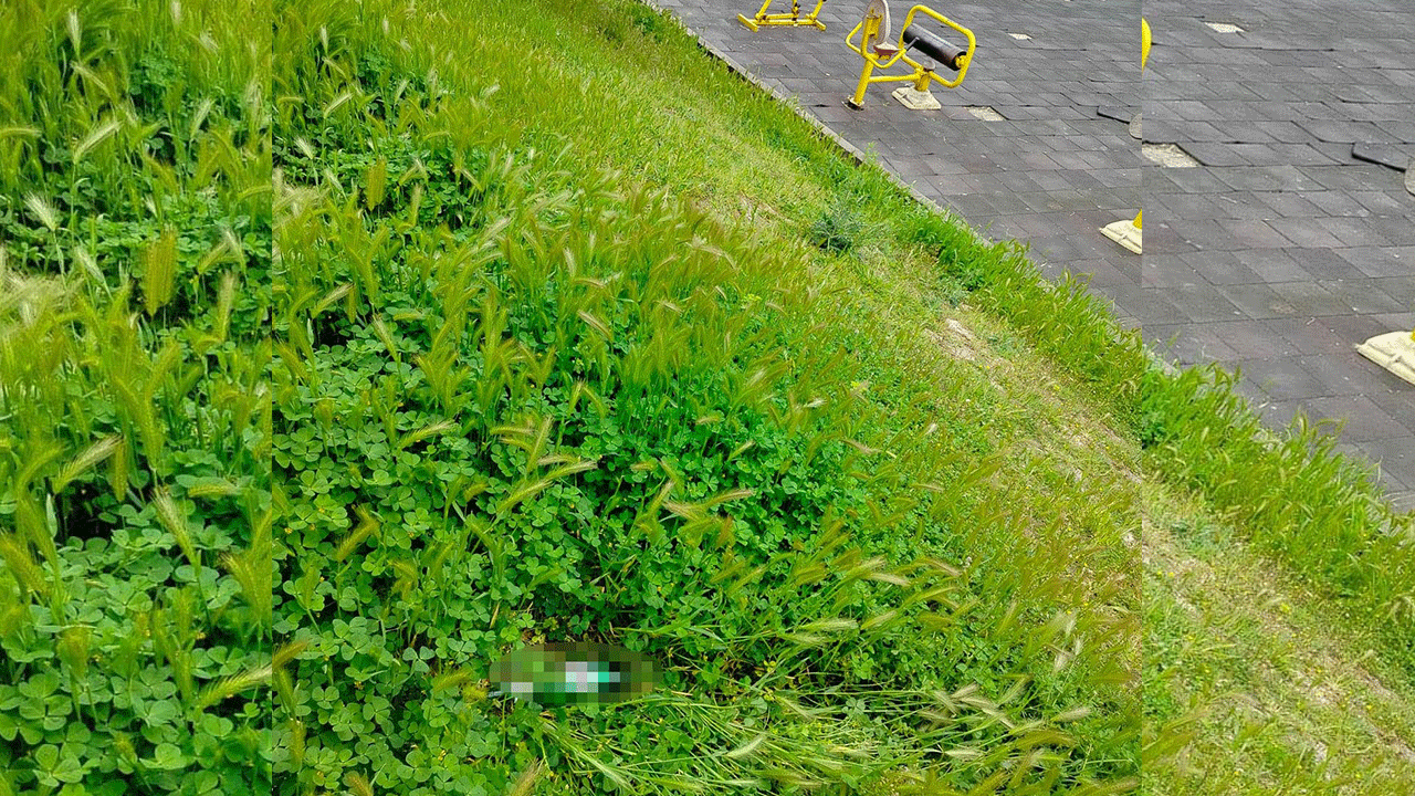 Foto - Suçsuz günahsız minik hastanelik oldu! Ayyaşlardan çocuk parkında skandal