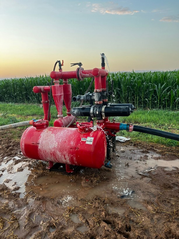 Foto - Suda zirai ilaç paniği! Hayvanlar 5 dakika içinde telef oldu