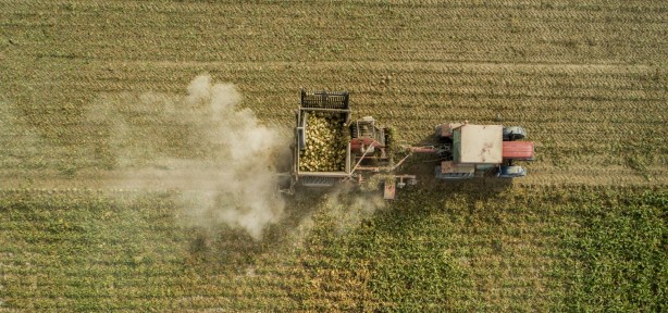 Foto - Sukkar Şeker üretim rekoru kırdı!