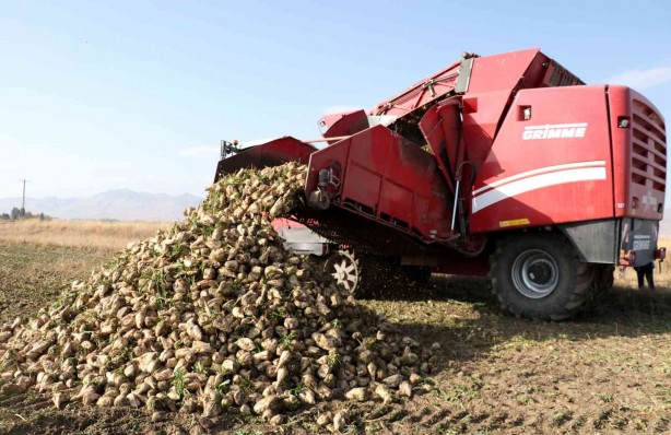 Foto - Sukkar Şeker üretim rekoru kırdı!