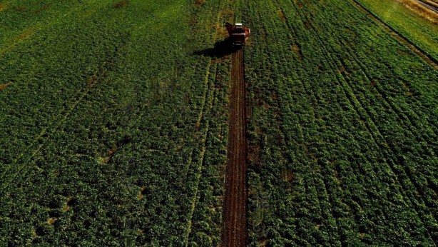 Foto - Sukkar Şeker üretim rekoru kırdı!