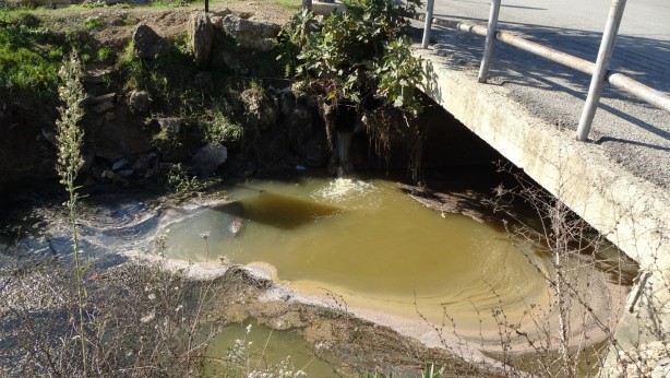 Foto - Sulama kanalında endişelendiren görüntü! Vatandaşlar tedirgin
