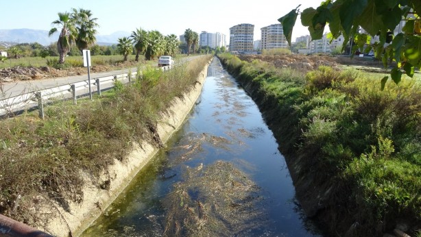 Foto - Sulama kanalında endişelendiren görüntü! Vatandaşlar tedirgin