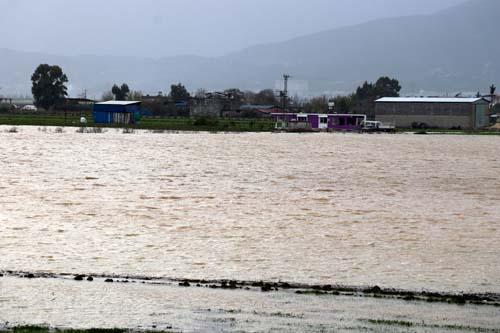 Foto - Sular çekildi, her yeri yılan sardı
