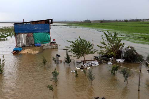 Foto - Sular çekildi, her yeri yılan sardı