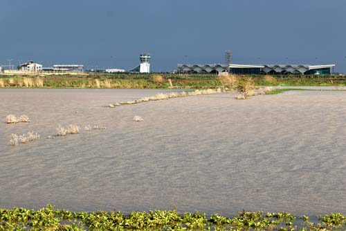 Foto - Sular çekildi, her yeri yılan sardı