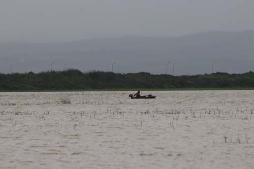 Foto - Sular çekildi, her yeri yılan sardı