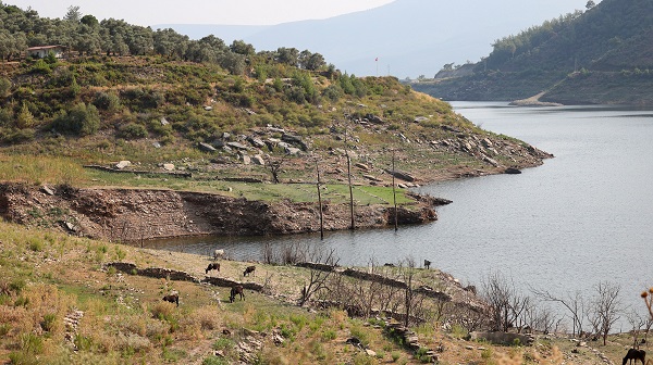 Foto - Sular çekildi ortaya bakın ne çıktı!