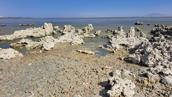 Foto - Sular çekildi sahil bataklığa dönüştü