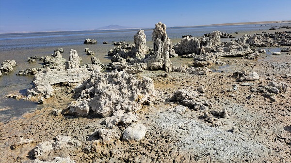 Foto - Sular çekildi sahil bataklığa dönüştü