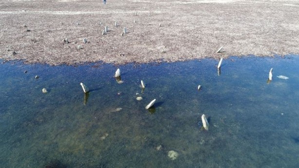 Foto - Sular çekilince 150 senelik mezarlık ortaya çıktı