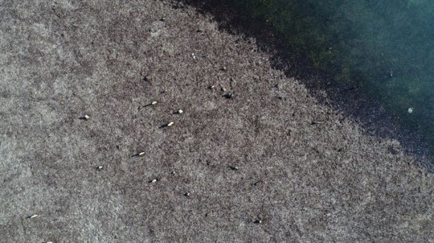 Foto - Sular çekilince 150 senelik mezarlık ortaya çıktı