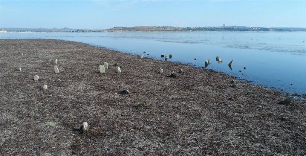 Foto - Sular çekilince 150 senelik mezarlık ortaya çıktı