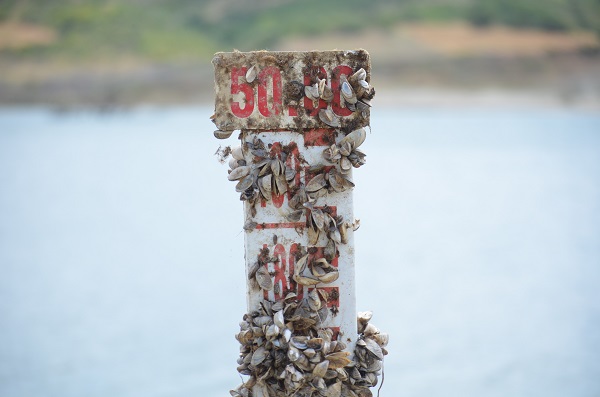 Foto - Sular her an kesilebilir! Bu ilçelerde yaşayanlar diken üstünde