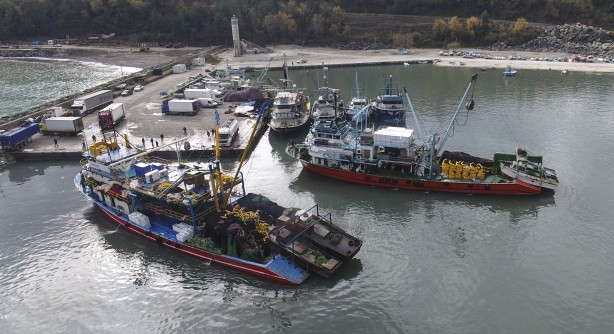Foto - Sularımızda son 15 gün! Karadeniz'den hamsi fışkırıyor