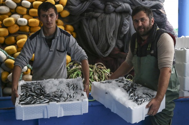 Foto - Sularımızda son 15 gün! Karadeniz'den hamsi fışkırıyor