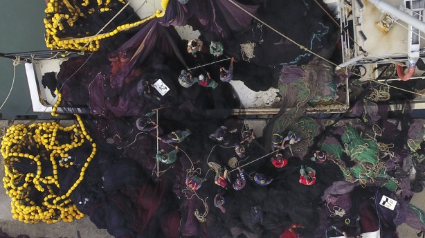 Foto - Sularımızda son 15 gün! Karadeniz'den hamsi fışkırıyor