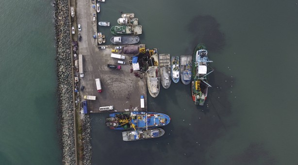 Foto - Sularımızda son 15 gün! Karadeniz'den hamsi fışkırıyor