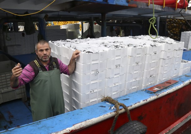 Foto - Sularımızda son 15 gün! Karadeniz'den hamsi fışkırıyor