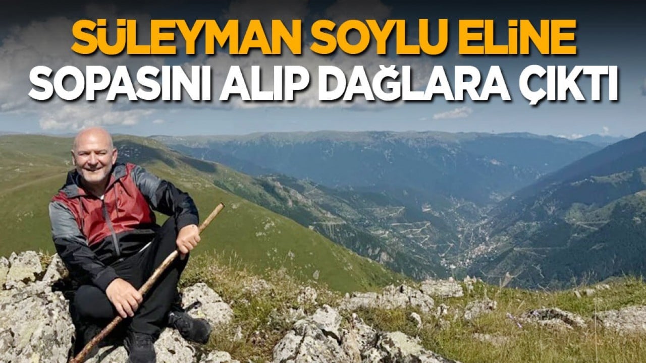 Süleyman Soylu eline sopasını alıp dağlara çıktı