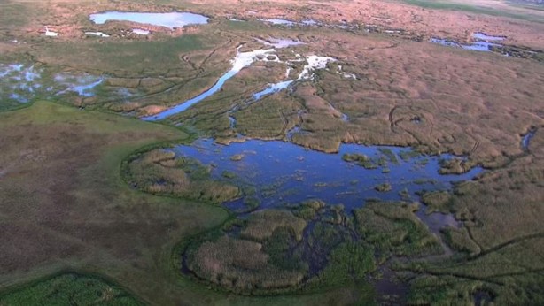 Foto - Sultan Sazlığı'na göçmen kuşlar için su takviyesi 