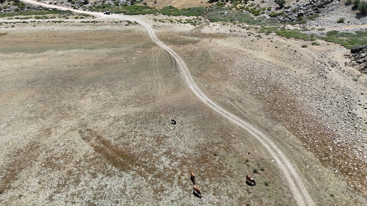 Foto - Sülüklü Göl'ün üçte ikisi kurudu