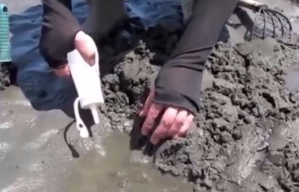 Foto - Sülünez avlamak için sıra dışı bir yöntem