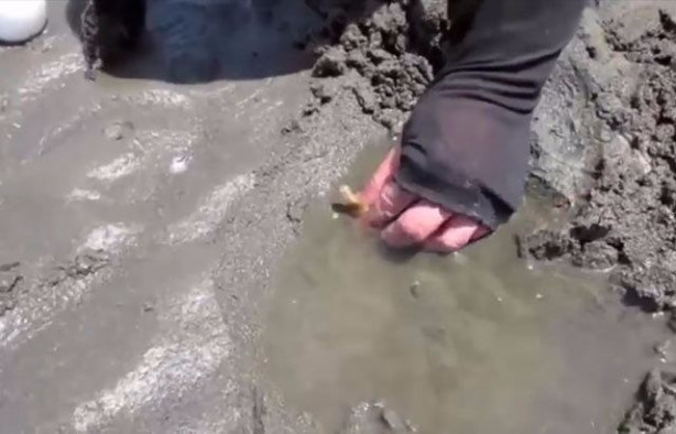 Foto - Sülünez avlamak için sıra dışı bir yöntem