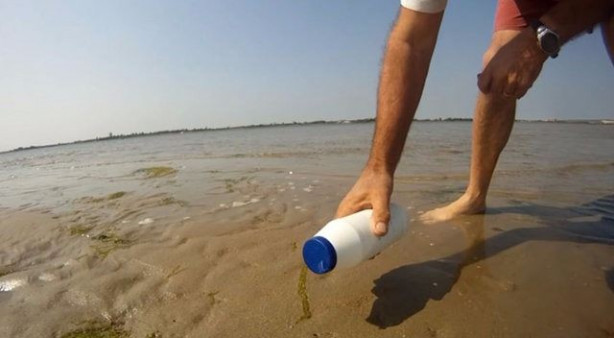 Sülünez avlamak için sıra dışı bir yöntem