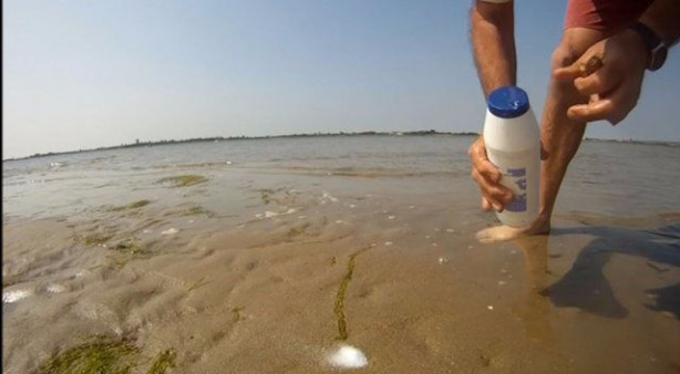 Foto - Sülünez avlamak için sıra dışı bir yöntem