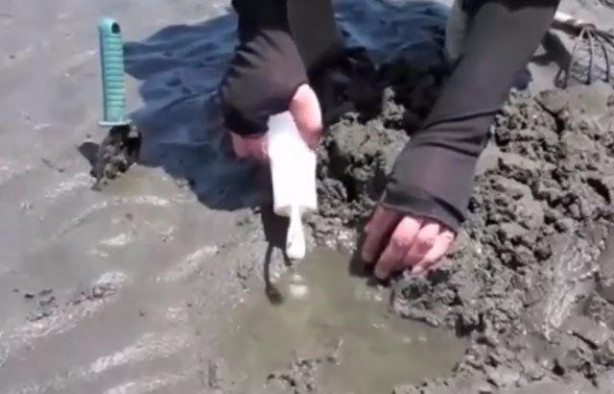 Foto - Sülünez avlamak için sıra dışı bir yöntem