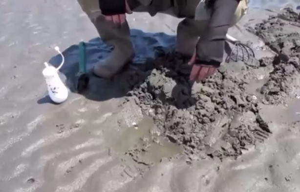 Foto - Sülünez avlamak için sıra dışı bir yöntem