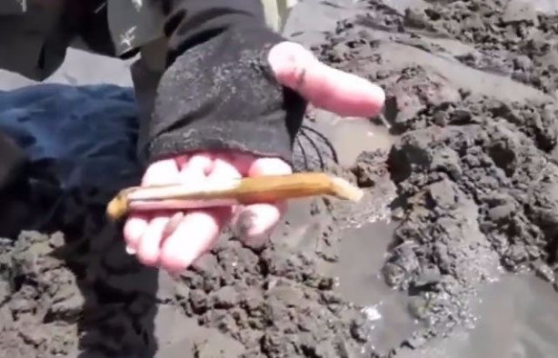 Foto - Sülünez avlamak için sıra dışı bir yöntem