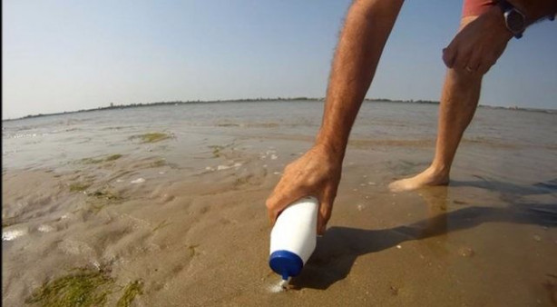 Foto - Sülünez avlamak için sıra dışı bir yöntem