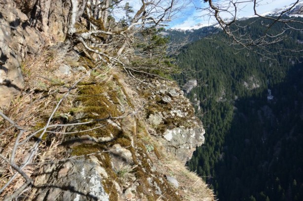 Foto - Sümela Manastırı'nda bulunmuştu! İlk defa görüntülendi