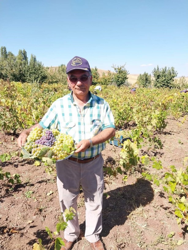 Foto - Sungurlu Beyaz'ına uluslararası inceleme