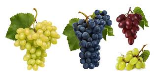 Foto - Sungurlu Beyaz'ına uluslararası inceleme