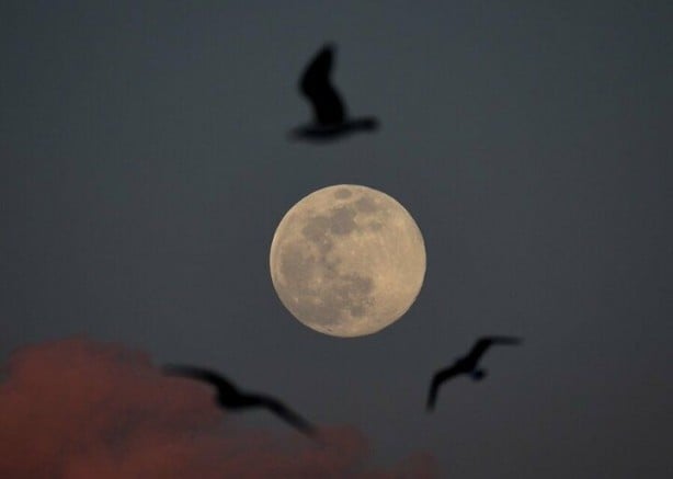 Foto - 'Süper Ay' manzarası mest etti