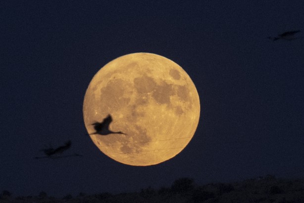 Foto - Süper ay şölen oluşturdu! Görüntüler büyüledi