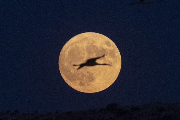 Foto - Süper ay şölen oluşturdu! Görüntüler büyüledi