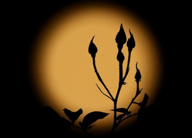 Foto - Süper Ay'ın fotoğrafı nasıl çekilir? 