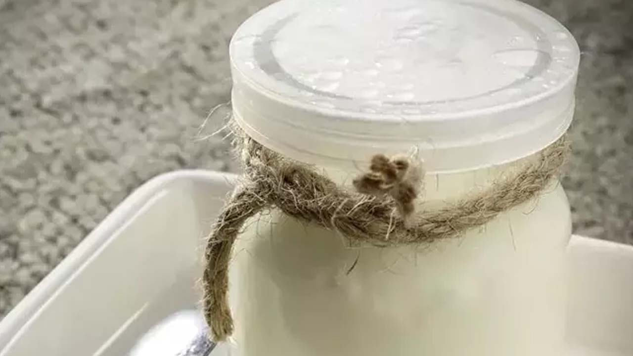 Foto - Süper besin 10 yaş gençleştiriyor! Yoğurdun içine ekleyin!