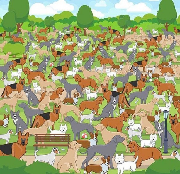 Foto - Süper Mario aşağıya mı yoksa yukarıya mı koşuyor? Sosyal medyayı karıştırdı