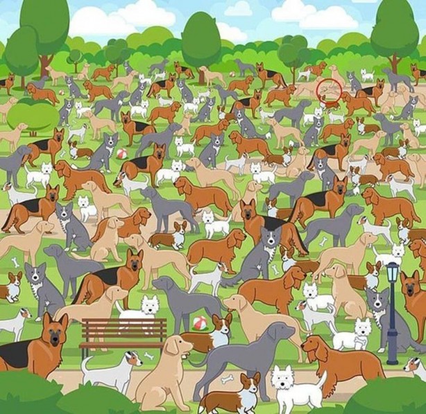 Foto - Süper Mario aşağıya mı yoksa yukarıya mı koşuyor? Sosyal medyayı karıştırdı